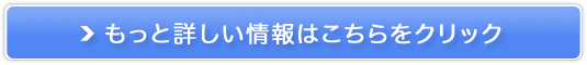 CMSڂ̏iVXeyT[`vXforVbvz̔TCg